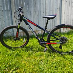 Cannondale Kids Trail 24 Boy's MTB (2022)