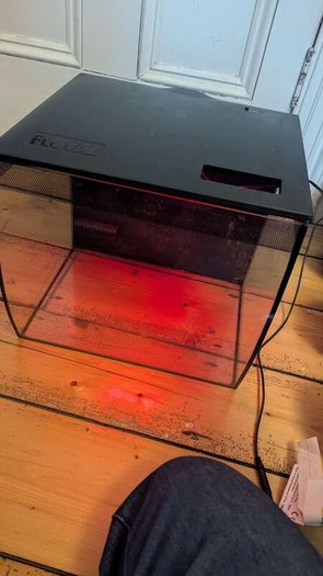 Fluvial 34l fish tank