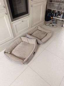 two dog beds