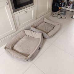 two dog beds