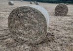bales of hay