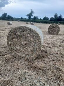bales of hay