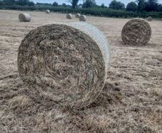bales of hay