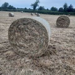 bales of hay