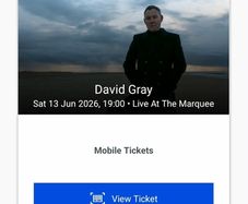 2 David Gray tickets