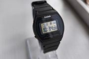 Casio W-202