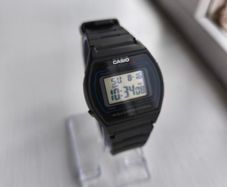 Casio W-202