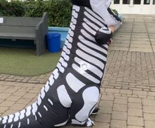Costume