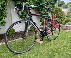 Spider Road Bike