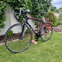 Spider Road Bike