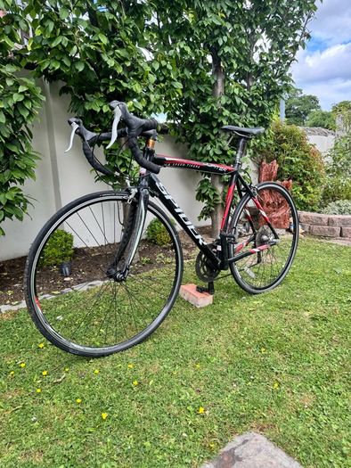 Spider Road Bike