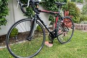 Spider Road Bike
