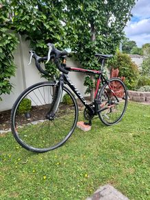 Spider Road Bike