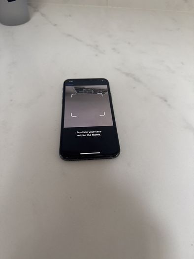 IPhone X Factory Unlocked