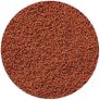 Hikari Micro Pellets 22g Small-Mouthed Tropical Fish Image 2