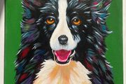 Border Collie Original Acrylic Painting