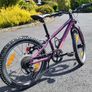 Child's Bike - 20inch Cube Acid Image 3