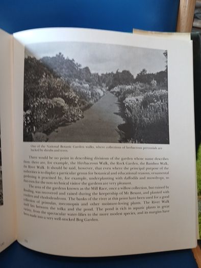 Irish Gardens - Edward Hyams, 1967