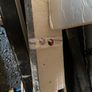 Black ogee  Fascia 5m x 175mm Black and Guter and soffit down pipe Image 4