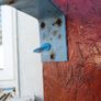 Basketball Hoop Image 5