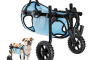 Wheelchair for Back Legs, Adjustable 2 Wheels Pet Wheelchair