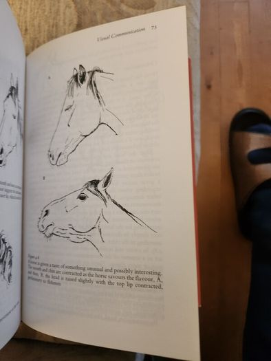 The Behaviour Of Horses. In Relation To Managment And Training.  By Dr Marthe Kiley-worthington. First Edition Hardback With Dustjacket In Good Condition.