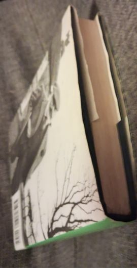 J. P. Donleavy / A Singular Country / 1st edition / 1989