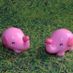 pink elefante