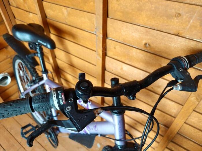 Lady bike