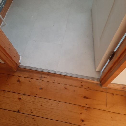 Carpenter/ property maintenance