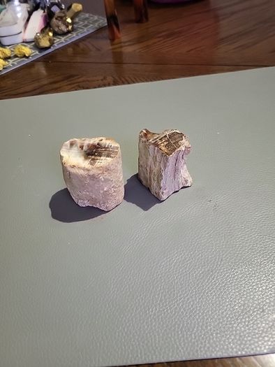 Petrified wood