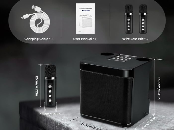 Portable Karaoke with 2 Microphone