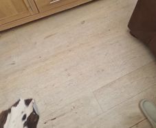 solid wood flooring