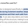 monarflex Image 2