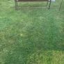 Long, Low Teak Mid-Century Danish, Style Coffee Table Image 5