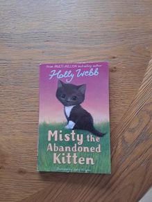 Misty the abandoned kitten