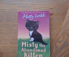 Misty the abandoned kitten