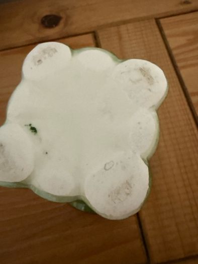 Small Green Flower Vase