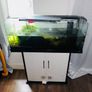 fish tank aquarium Image 4