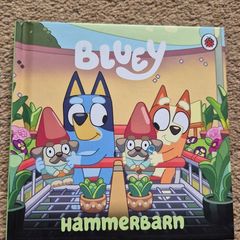 Bluey Hammerbarn