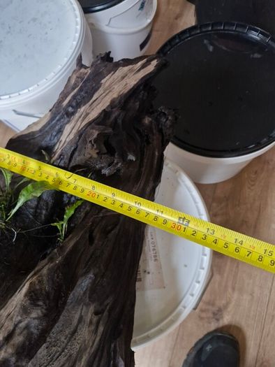 fish tank wood