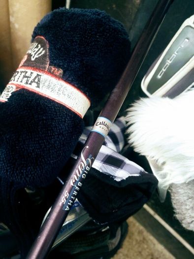Set of Ladies Golf Clubs