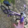 Carrera Cosmos Kids Bike - 14" Wheel - Lightweight aluminium frame only 6kg Image 4
