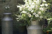 Milk Churns for Rent