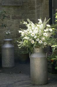 Milk Churns for Rent