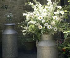 Milk Churns for Rent