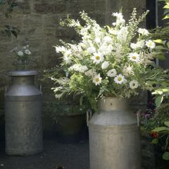 Milk Churns for Rent