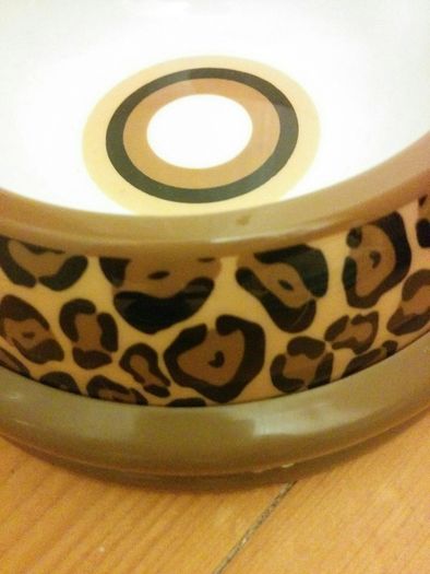 Small dog bowls