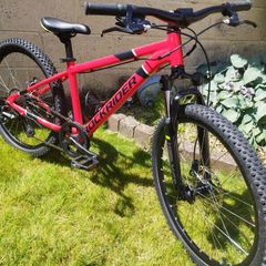 kids mountain bike Rockrider st900
