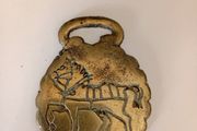 Brass Medallion